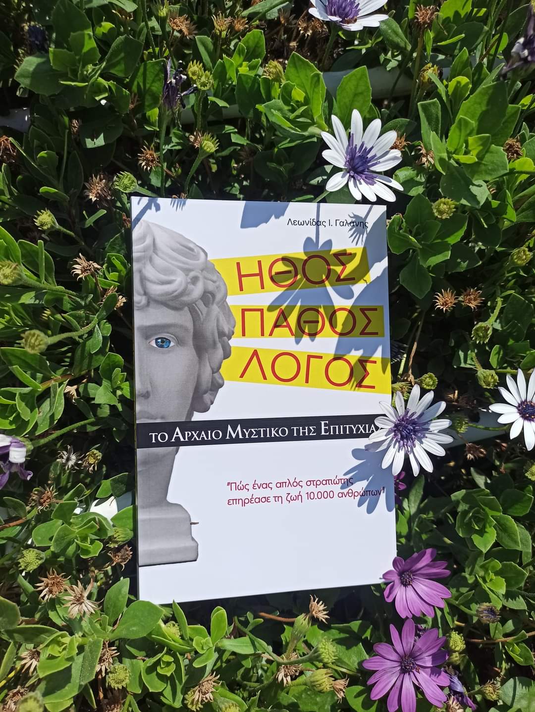 Fb Img 1692044177089